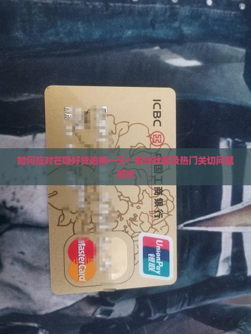 如何应对芒哩好贷逾期一天？解决攻略及热门关切问题解析