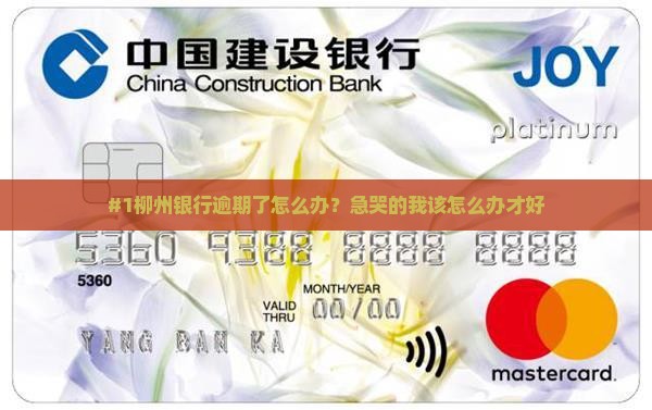 #1柳州银行逾期了怎么办？急哭的我该怎么办才好