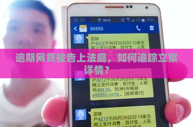 逾期网贷被告上法庭，如何追踪立案详情？