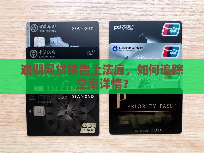 逾期网贷被告上法庭，如何追踪立案详情？