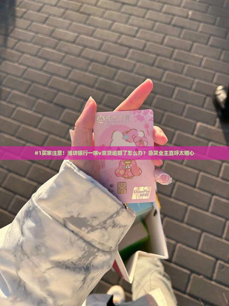 #1买家注意！潍坊银行一咻v京贷逾期了怎么办？急哭业主直呼太糟心