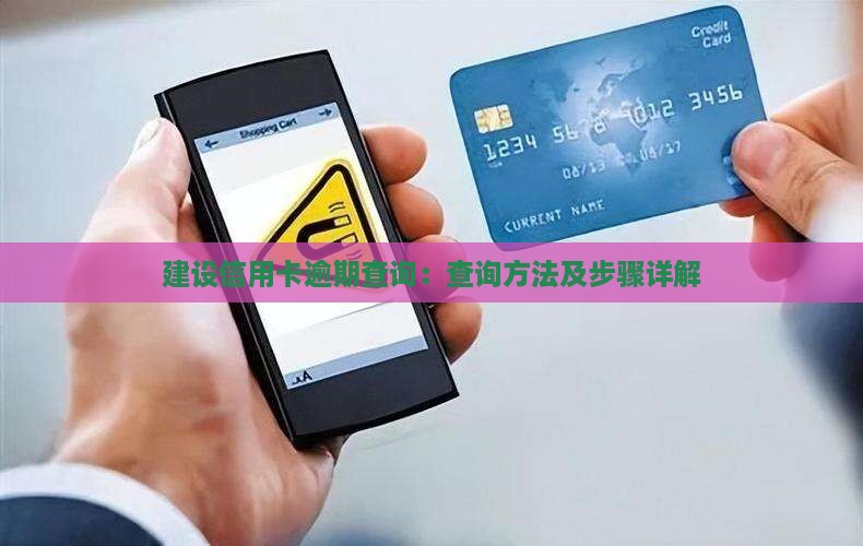 建设信用卡逾期查询：查询方法及步骤详解