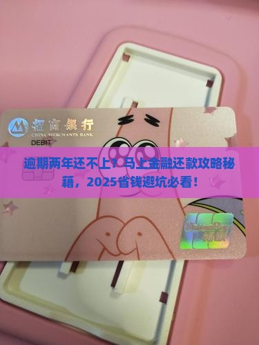 马上金融逾期两年怎么还款