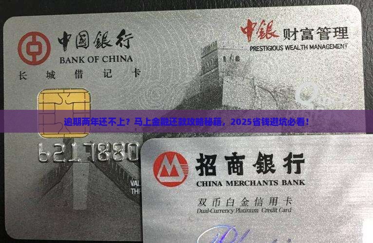 马上金融逾期两年怎么还款