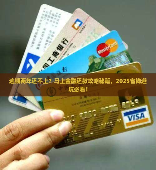 马上金融逾期两年怎么还款