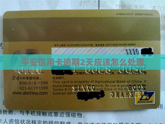 平安信用卡逾期2天应该如何处理