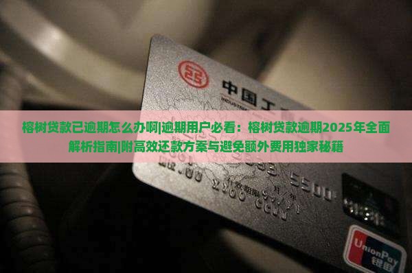 榕树贷款已逾期怎么办啊如何处理