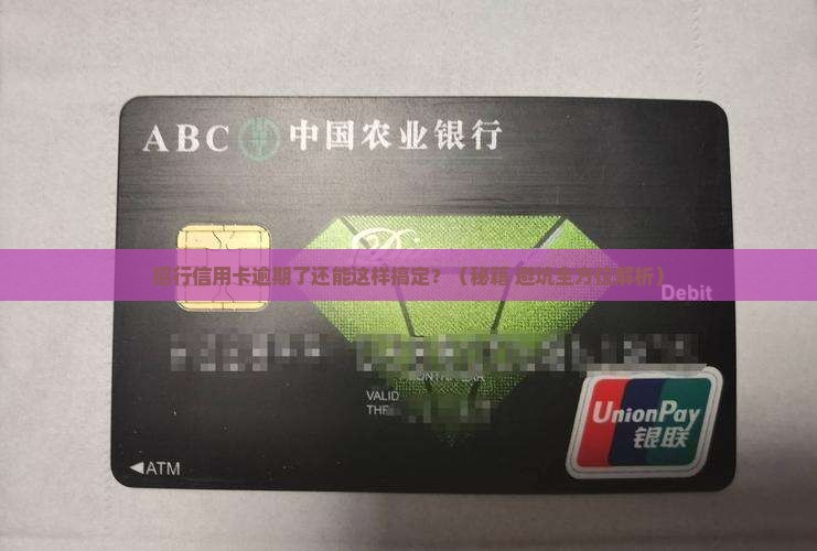 招行信用卡逾期如何进行庭前调解