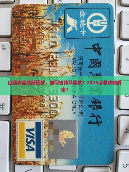 山西农信逾期怎么还钱更划算