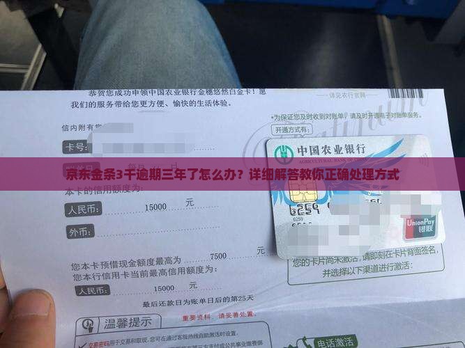 京东金条3千欠三年了怎么办