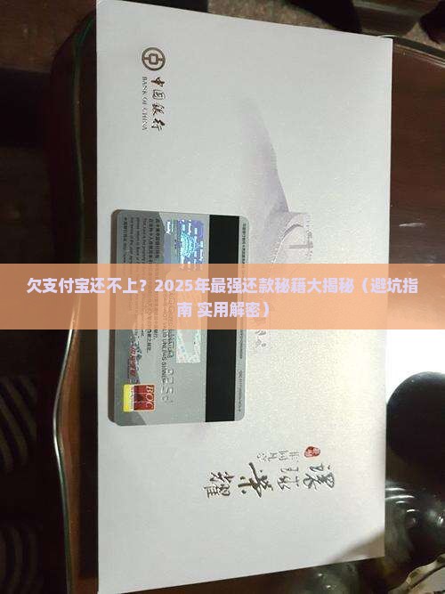 欠支付宝无力还款最佳处理方法解决方案