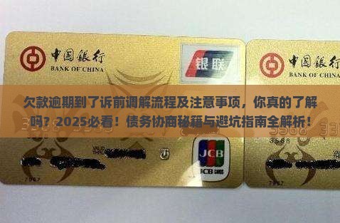 欠款逾期到了诉前调解流程及注意事项