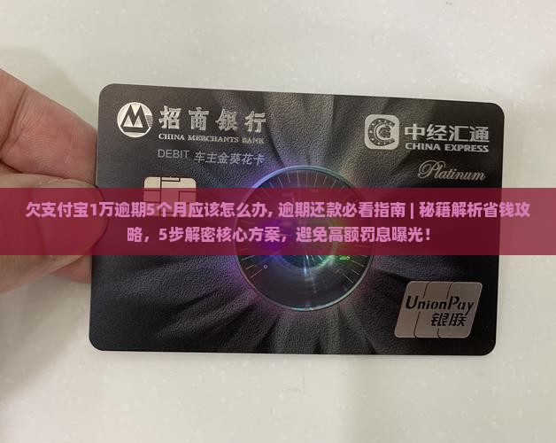 欠支付宝1万逾期5个月应该怎么办