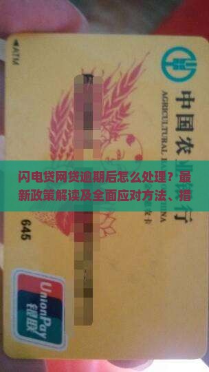 闪电贷网贷逾期后怎么处理