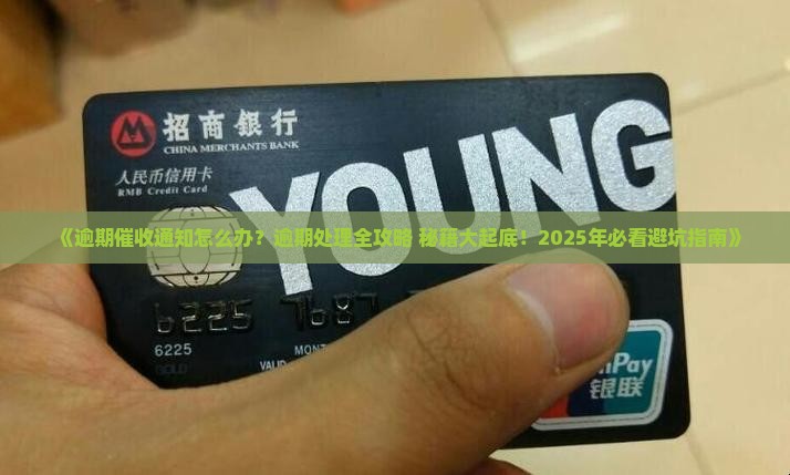 逾期催收通知如何处理