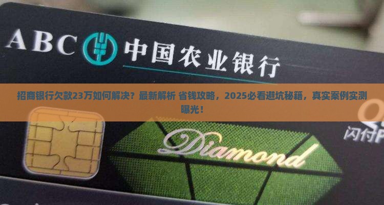 招商银行欠款23万如何解决
