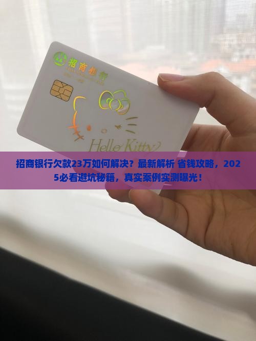招商银行欠款23万如何解决