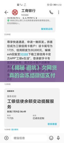 欠网贷会冻结微信支付吗 欠网贷会冻结微信支付吗