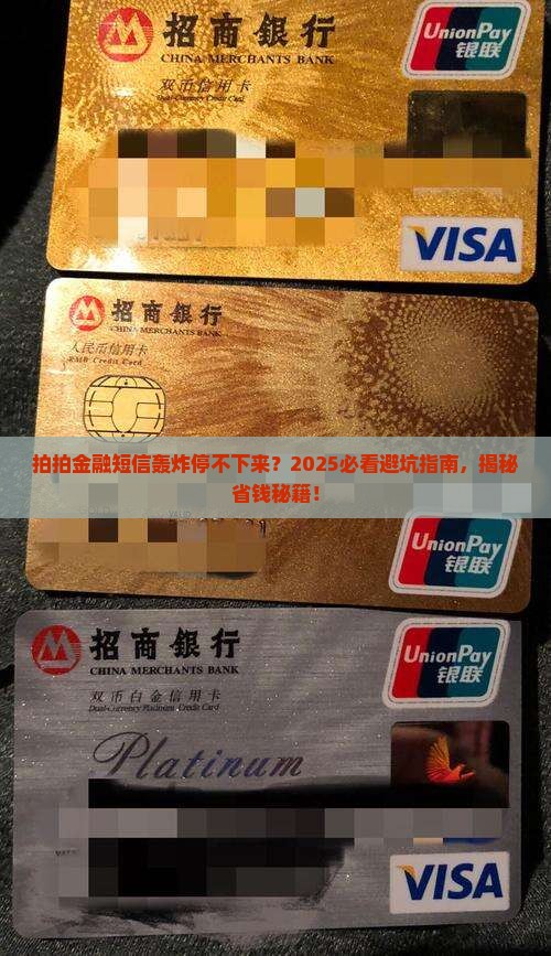 拍拍金融总是来短信