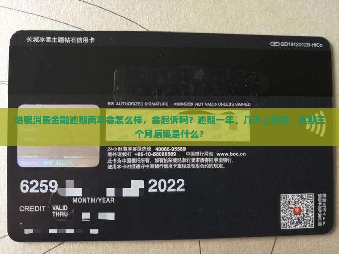 哈银消费金融逾期两年