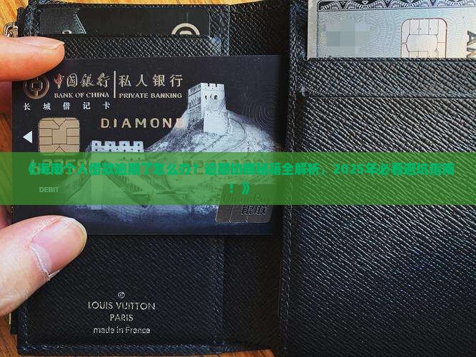 海南个人借款逾期协商技巧