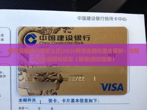 网贷逾期被代偿怎么还