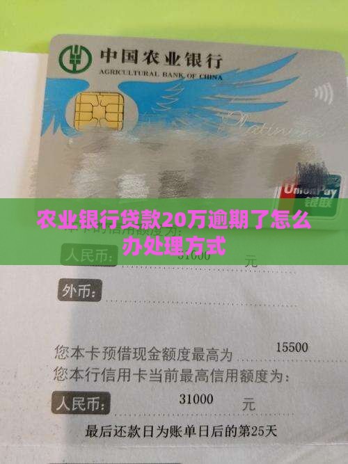 农业银行贷款20万逾期了怎么办处理方式