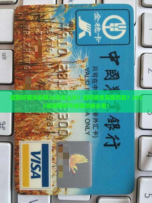 招联好期贷逾期20天应该怎么办