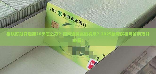 招联好期贷逾期20天应该怎么办