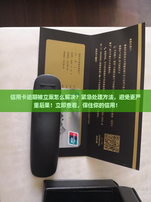 信用卡逾期被立案怎么解决