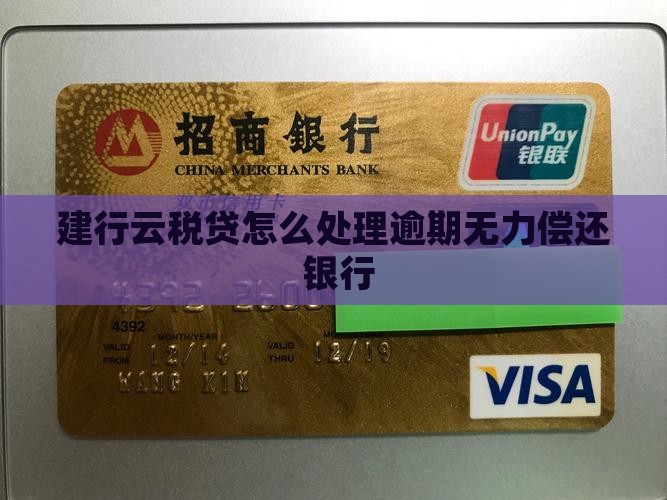 建行云税贷无力偿还如何处理