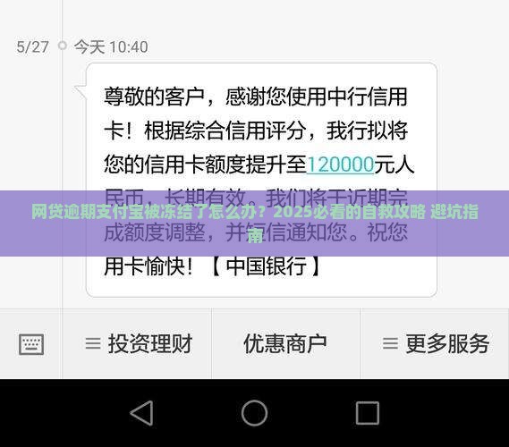 网贷逾期支付宝冻结了怎么办