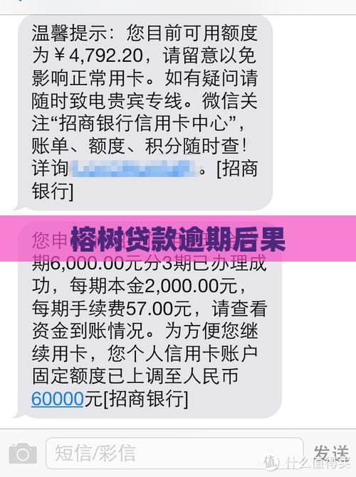 榕树借条逾期后果