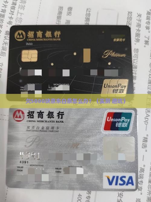京东白条欠5000元怎么办