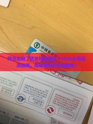 网贷逾期会发短信提醒吗