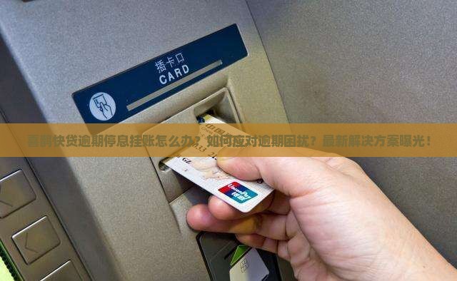喜鹊快贷逾期停息挂账怎么处理