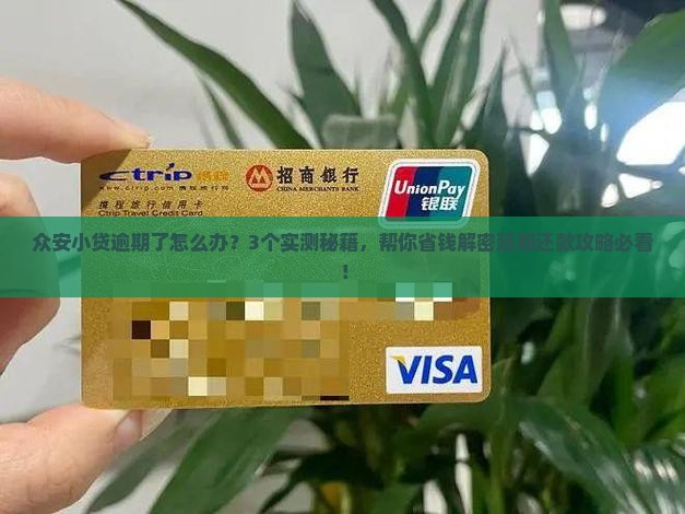 众安小贷逾期怎么协商延期还款的方法