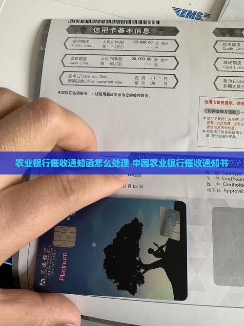 农业银行催收通知函怎么处理