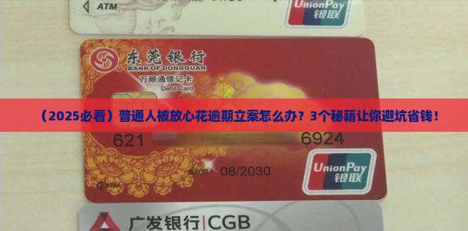 放心花逾期被立案