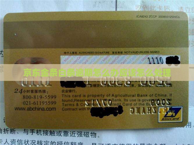 京东金条白条逾期怎么办应该怎么处理