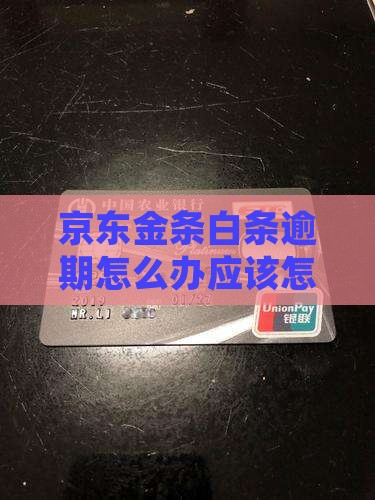 京东金条白条逾期怎么办应该怎么处理