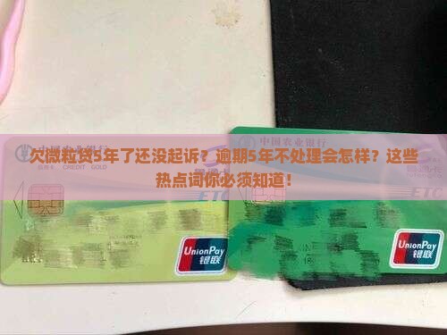 欠微粒贷5年了还没起诉怎么办