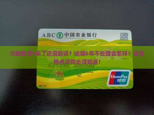 欠微粒贷5年了还没起诉怎么办