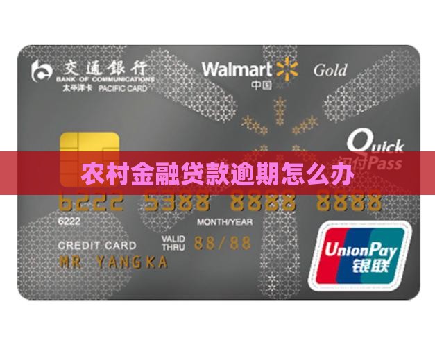农村金融贷款逾期怎么办