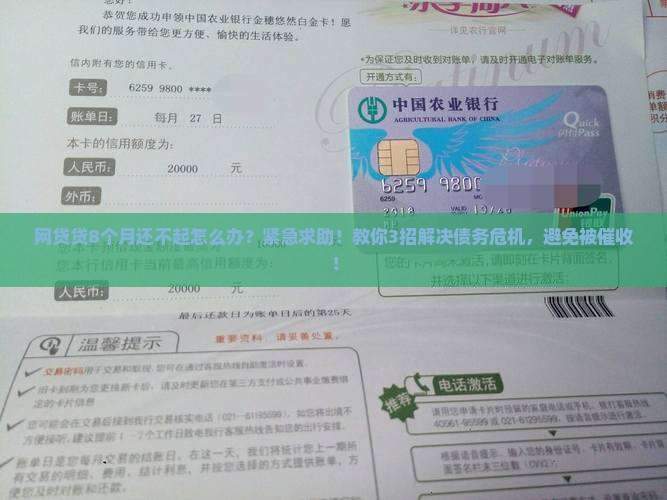 网贷贷8个月还不起怎么办