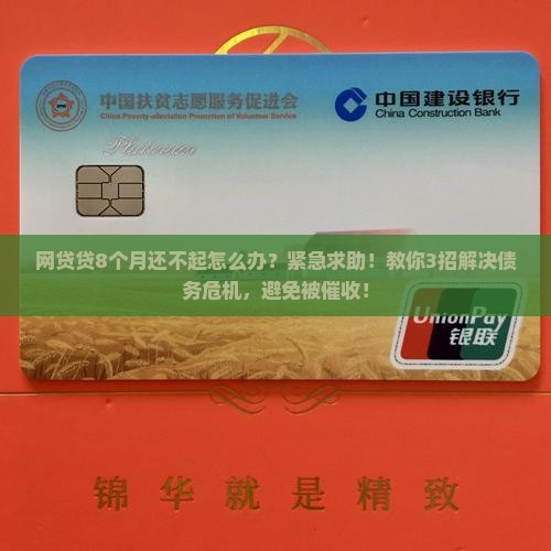 网贷贷8个月还不起怎么办