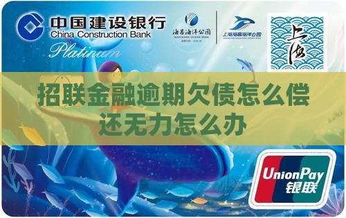招商消费金融欠债无力偿还怎么办
