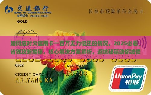 如何应对欠信用卡一百万无力偿还的情况