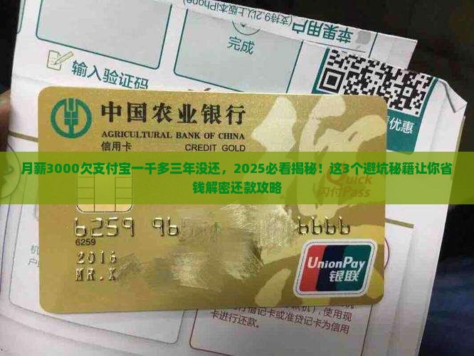 欠支付宝一千多三年没还