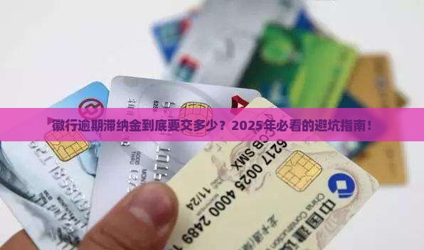 徽行逾期滞纳金多少需要支付多少费用